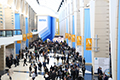 Grand-Concourse-1.jpg